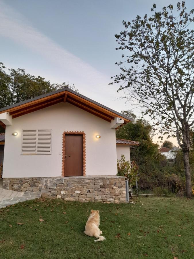 Laci Holiday home